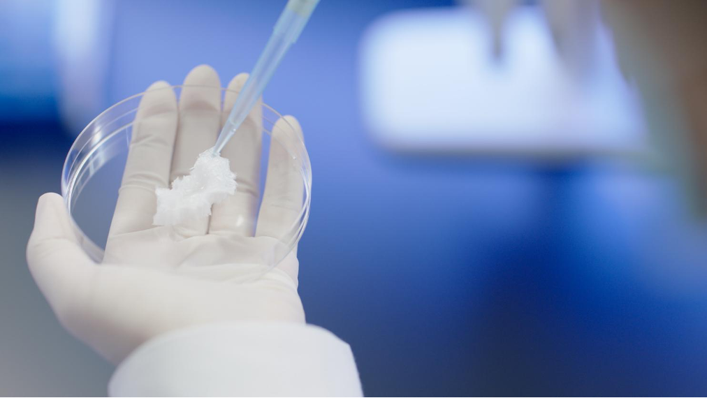 江苏亚星yaxing登录平台|生物医药|重组胶原蛋白|unicollagen