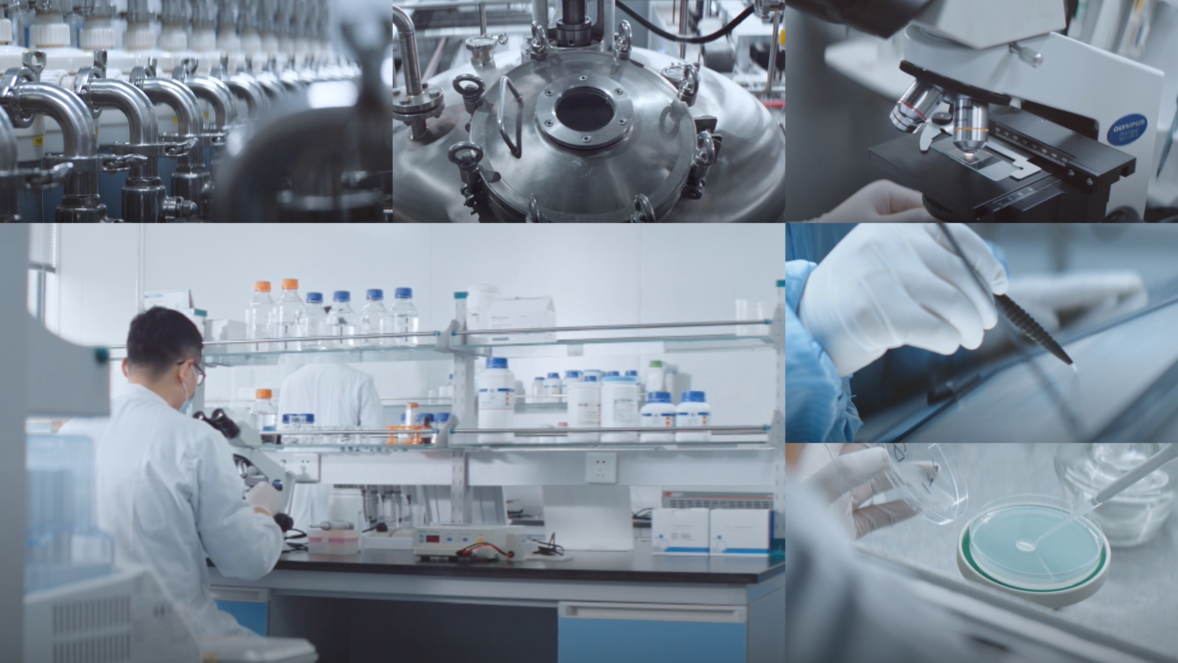 江苏亚星yaxing登录平台|生物医药|重组胶原蛋白|unicollagen