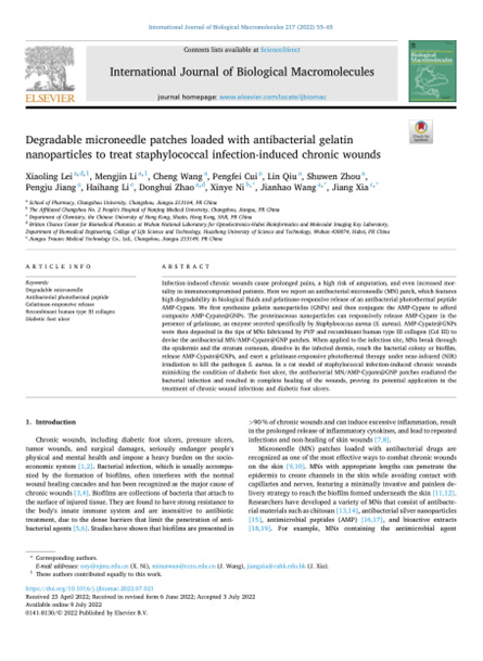 2022 动物研究，重组胶原微针，用于慢性伤口