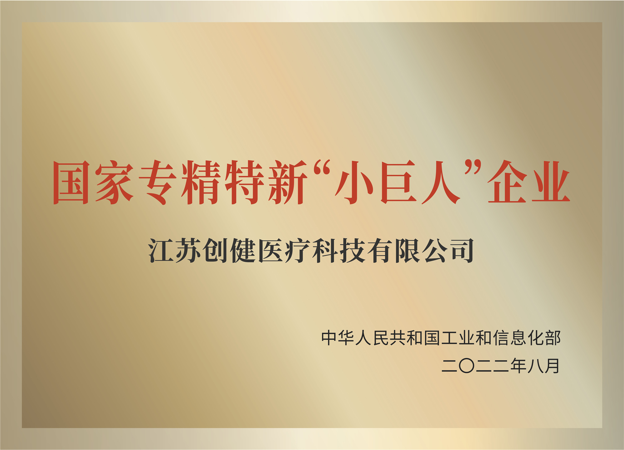 (亚星yaxing登录平台医疗)国家专精特新“小巨人”企业