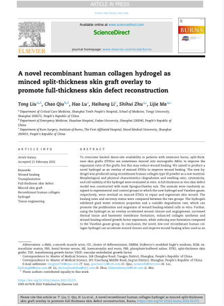 2022 动物研究，重组胶原用于微粒皮移植覆盖